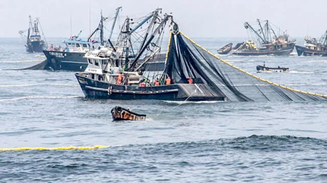 Ministerio Público investiga a empresa de buque chino que contaminó mar peruano 