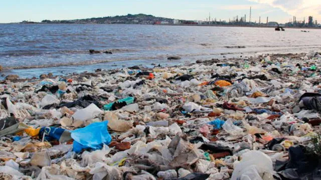 ONU insta a dejar de usar bolsas de plástico para proteger el medio ambiente 
