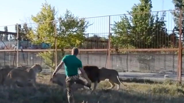 El vídeo de YouTube muestra al cuidador del zoológico enfrentarse a los leones 