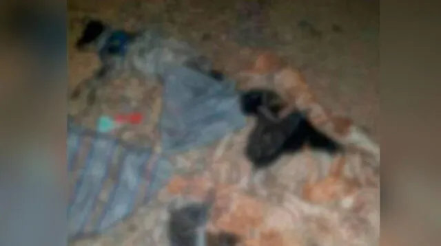 Denuncian envenenamiento de 11 canes en Huancayo 