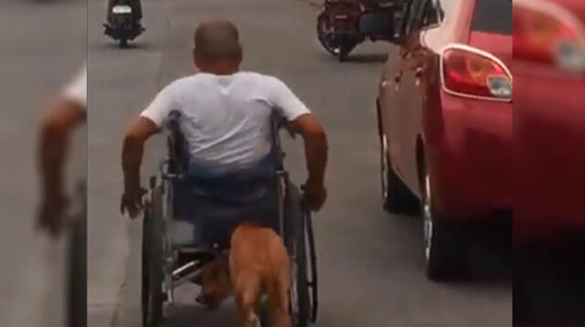 Perrito empuja la silla de ruedas de su dueño para ayudarlo a avanzar