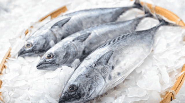 El pescado es uno de los alimentos que ayudan a prevenir más enfermedades