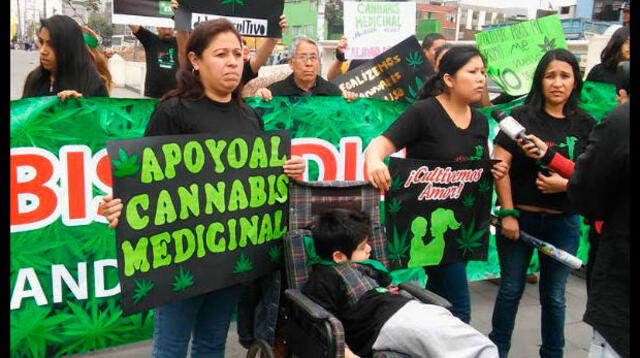 El cannabis medicinal sigue en el ojo de la tormenta El cannabis medicinal sigue en el ojo de la tormenta