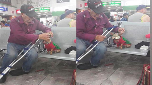 Dulce anciano protege a su cachorro cuando están de viaje 
