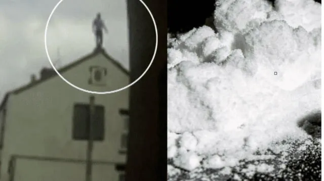 Droga "Polvo de Mono" hace a la gente saltar de edificios Droga "Polvo de Mono" hace a la gente saltar de edificios