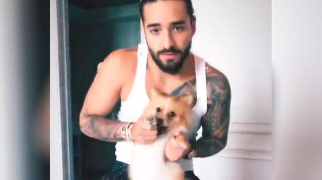 Maluma sorprende bailando 'Mala Mía' con su pequeña mascota