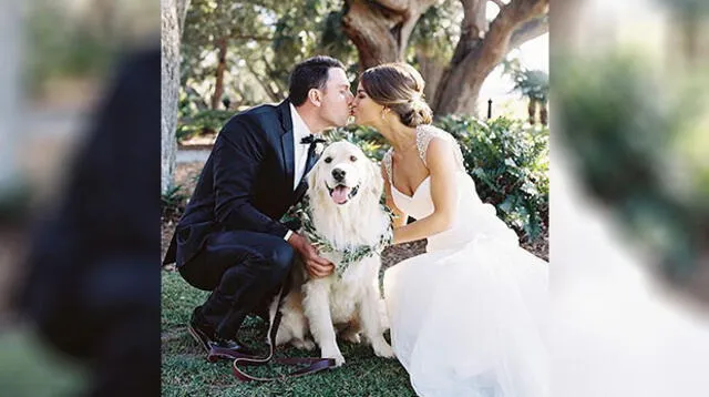 La pareja mencionó que era un perro muy bien entrenado