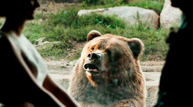 Un oso es testigo en una boda