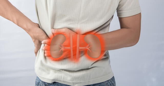 La diabetes y la hipertensión arterial son las causas más comunes de esta enfermedad