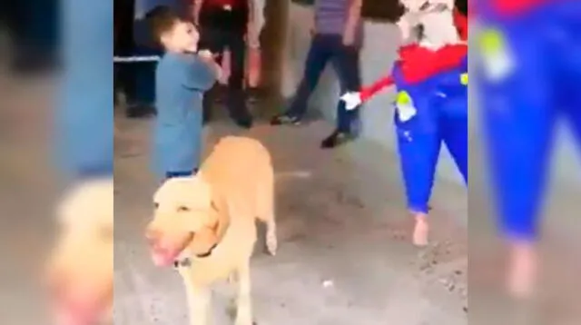 Video viral en Facebook muestra al can ayudando a su dueño a sacar las sorpresas de la piñata de una forma muy ocurrente