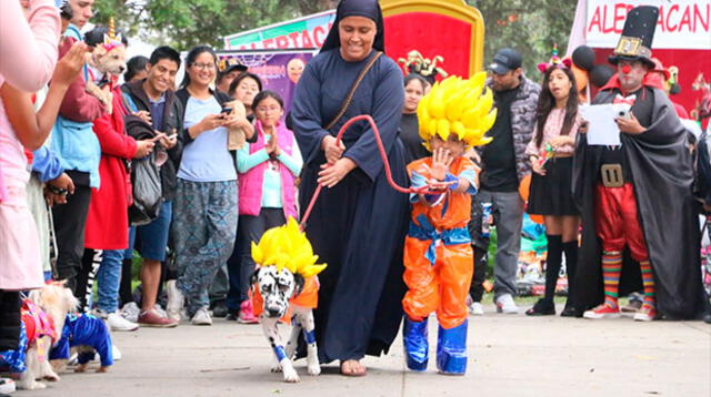 Concurso de Halloween para mascotas en San Miguel