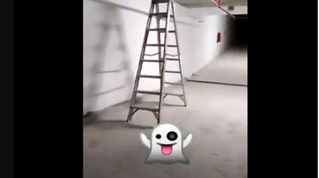 Imágenes de terror en sótano de un edificio