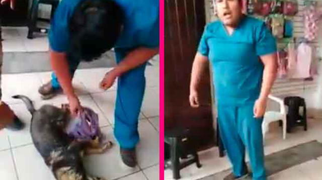 Defienden a veterinario acusado de no atender a perrito herido con esta versión 