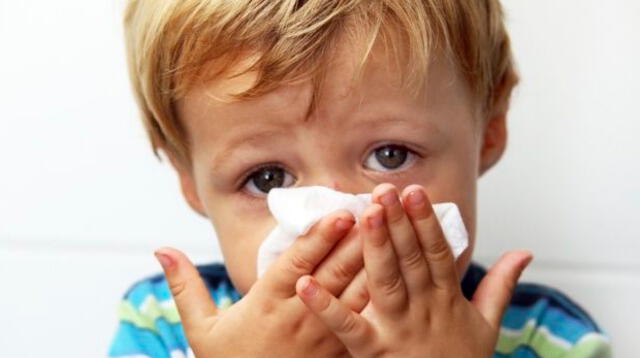 Los resfríos son comunes en niños pequeños ya que su sistema inmunológico se va fortaleciendo a medida que crecen