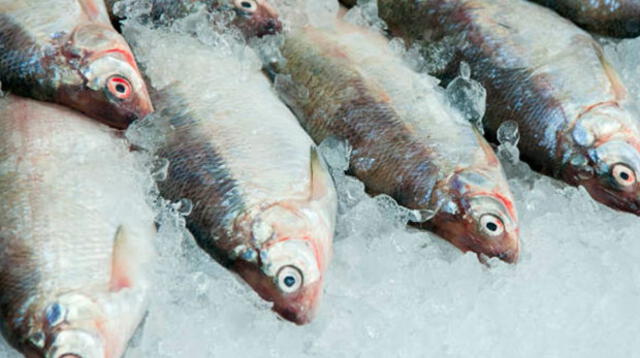 Comer pescado regularmente, aporta varios minerales al cuerpo. El consumo de minerales es indispensable para nuestro organismo