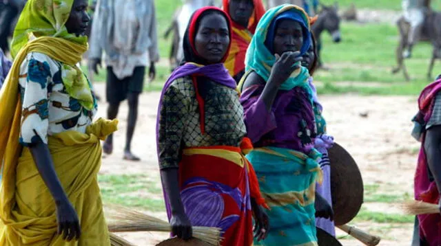 Emisarios de la ONU viajaron a Sudán para identificar a los autores de los actos