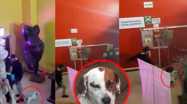 Extranjero agredió también al personal del casino