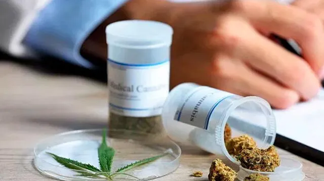 Cannabis medicinal en debate