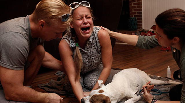 Olesya Lykovi grita de angustia, momentos después de la muerte de su perro, Sam. (Foto: Ross Taylor)