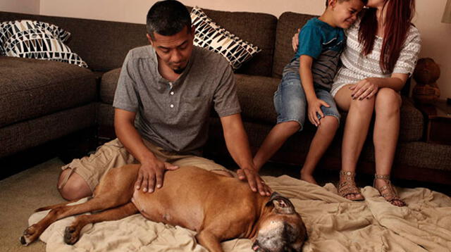 Vanessa Gangadyal consuela a su hijo, Ian, 8, mientras que su esposo Michael Gangadyal acaricia a su perro, Ally. (Foto: Ross Taylor)