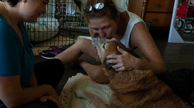 "Siempre me sentí segura con él", dijo Juliet Rubio mientras daba el último beso a su perro, Dingo, quien tiene 12 años. (Foto: Ross Taylor)