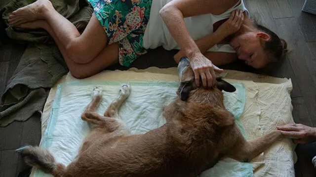 "Siempre me sentí segura con él", dijo Juliet Rubio mientras daba el último beso a su perro, Dingo, quien tiene 12 años. (Foto: Ross Taylor)