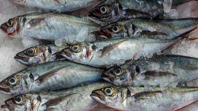 Se recomienda consumir pescados en preparaciones saludables como guisos, sudados, a la plancha o al vapor