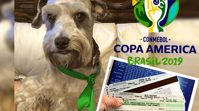 Dueña de perro recompensa con pasajes para Copa América Dueña de perro recompensa con pasajes para Copa América