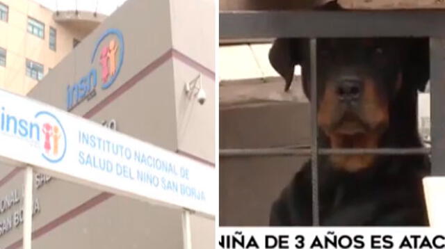 Niña fue desfigurada por perro pitbull