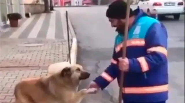 Video viral en Facebook muestra cómo el perrito callejero le entrega su patita en símbolo de amor