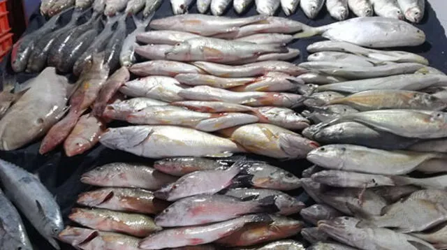 Recomiendan tener cuidado con la compra de pescado para Semana Santa