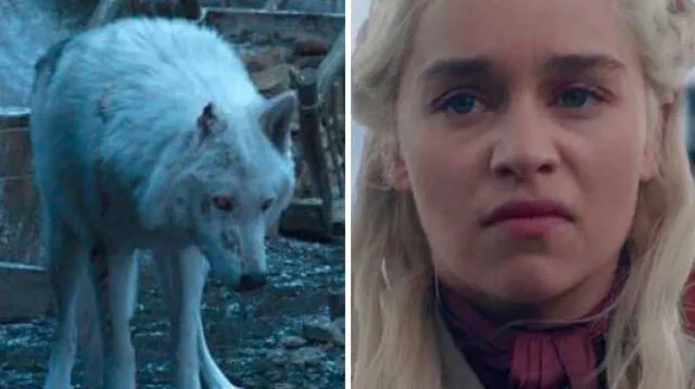 Director dio las razones de por qué Jon Snow no se despidió de Ghost