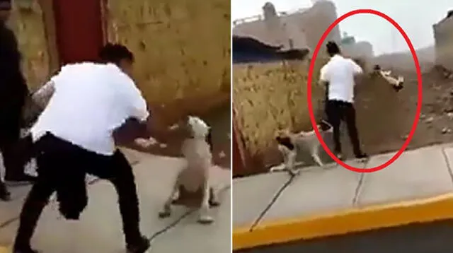 A través de Facebook denunciaron maltrato animal en Huacho