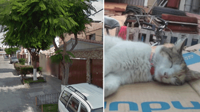 Delincuentes asaltan a una joven y le disparan en Pueblo Libre Delincuentes asaltan a una joven y le disparan en Pueblo Libre