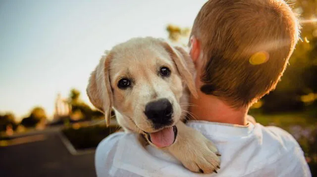 Disfrutar de la tarde es una sencilla práctica que deberías replicar y no solo hacerla por obligación con tu mascota