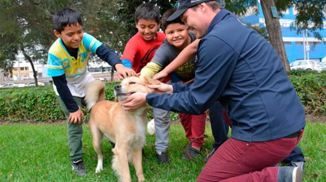 La Victoria: Municipalidad Sancionará el matrato contra los animales domésticos