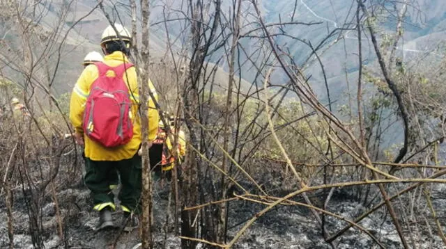 Se está comenzando con la liquidación del incendio, señala