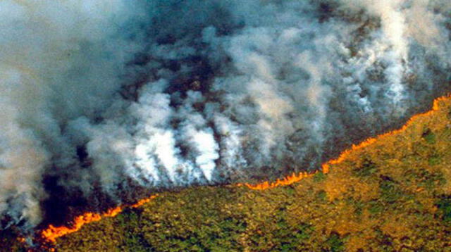 Gigantesco incendio forestal amenaza la Amazonia de Brasil