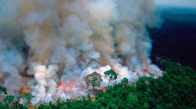 La Amazonía se está destruyendo