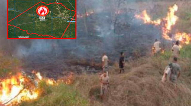 Incendio forestal en Madre de Dios pone en alerta la selva peruana 