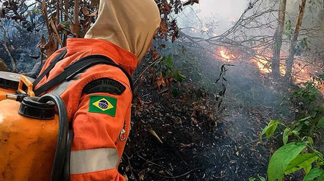 En 18 días el incendio ha consumido una extensión de bosques equivalente a un tercio de Lima