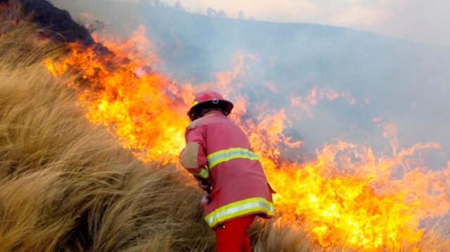 Se registraron más de cien incendios forestales en el Perú en menos de un mes 