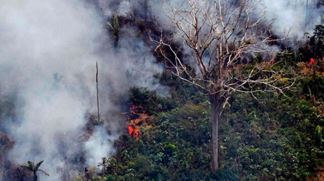 Jair Bolsonaro rechaza 20 millones de dólares para combatir incendios en Brasil   