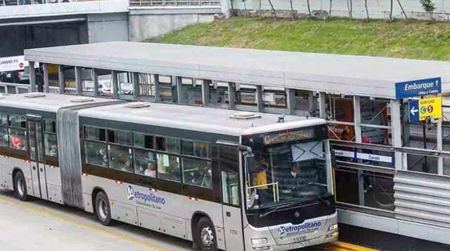 Metropolitano ofrecerá servicio especial por el día de Santa Rosa de Lima 