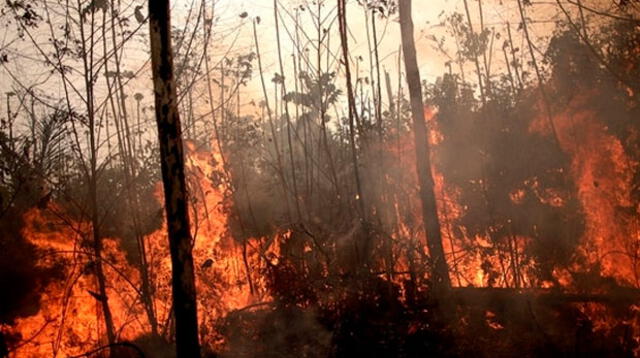 Identifican a sospechosos de provocar incendios en Brasil 