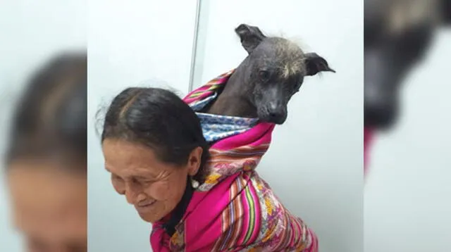 Veterinario felicita a anciana por cuidar y proteger a su mascota