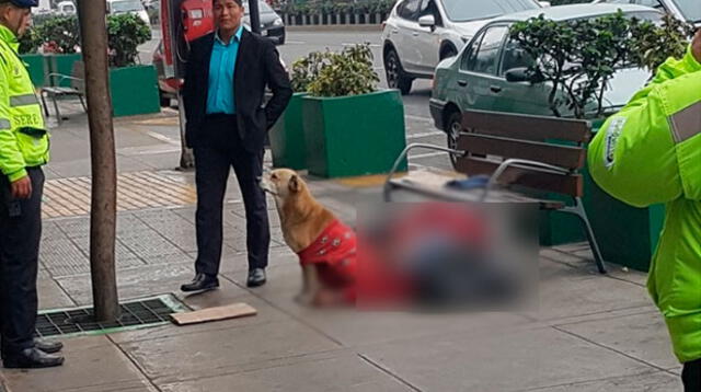 Persona fallece y su mascota se queda a su lado 