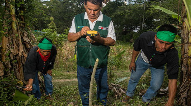 Unas 26 comunidades nativas de Loreto accederán a la titulación de sus tierras