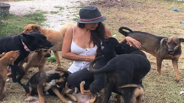 Mujer salva a 97 perros del paso del poderoso huracán Dorian