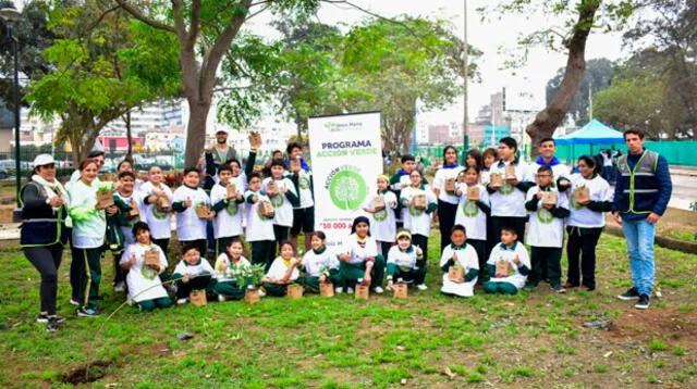 La Municipalidad de Jesús María sembró 75 árboles como parte de “Acción Verde”